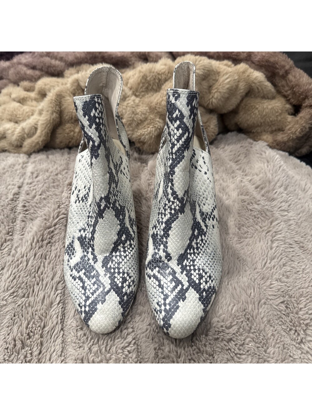 Steve Madden Rookie ,black & Cream Snakeskin Ankle Booties ,Block Heel, Sz 10M